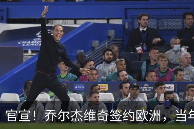 官宣！乔尔杰维奇签约欧洲，当年顶替杜锋，世界杯创队史最差排名